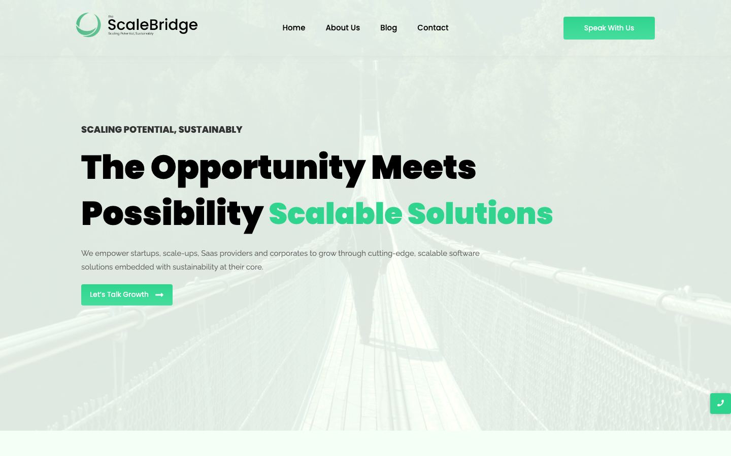 ScaleBridge website